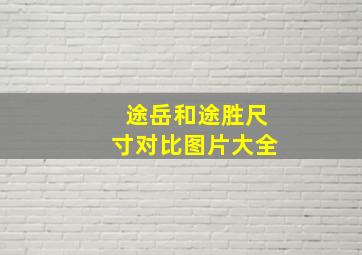 途岳和途胜尺寸对比图片大全