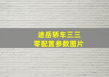 途岳轿车三三零配置参数图片