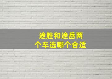 途胜和途岳两个车选哪个合适