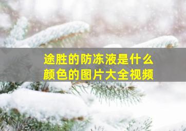 途胜的防冻液是什么颜色的图片大全视频