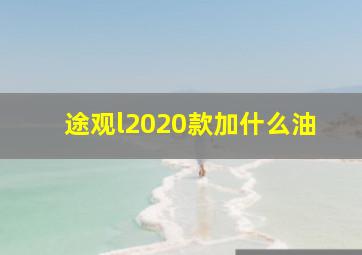 途观l2020款加什么油