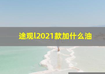 途观l2021款加什么油