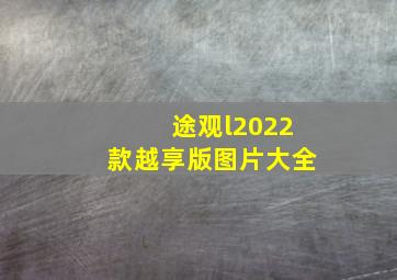 途观l2022款越享版图片大全