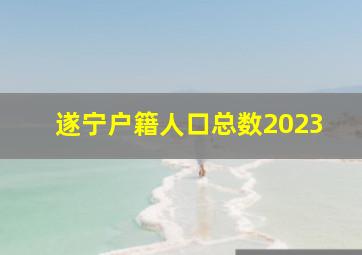 遂宁户籍人口总数2023