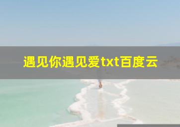 遇见你遇见爱txt百度云