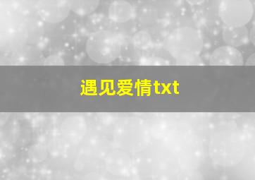 遇见爱情txt