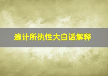 遍计所执性大白话解释