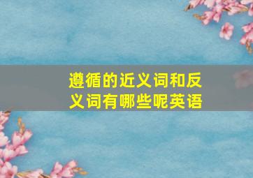 遵循的近义词和反义词有哪些呢英语