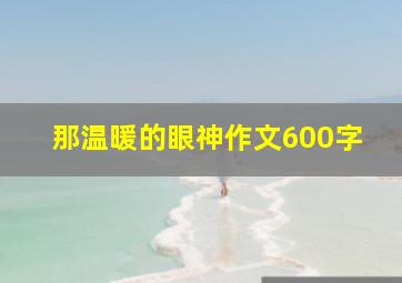 那温暖的眼神作文600字