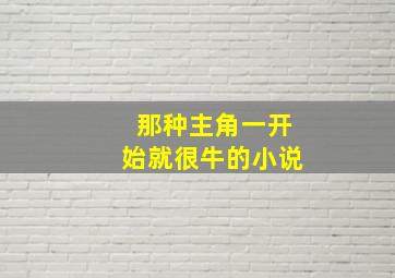 那种主角一开始就很牛的小说