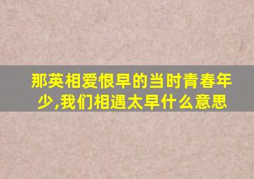 那英相爱恨早的当时青春年少,我们相遇太早什么意思