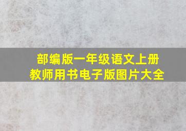 部编版一年级语文上册教师用书电子版图片大全