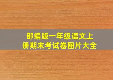 部编版一年级语文上册期末考试卷图片大全