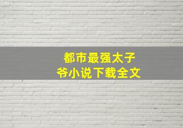 都市最强太子爷小说下载全文