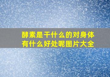 酵素是干什么的对身体有什么好处呢图片大全