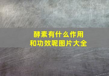 酵素有什么作用和功效呢图片大全