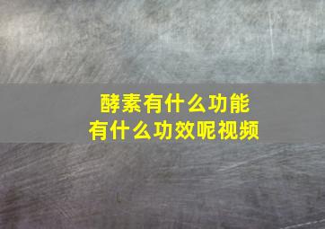 酵素有什么功能有什么功效呢视频