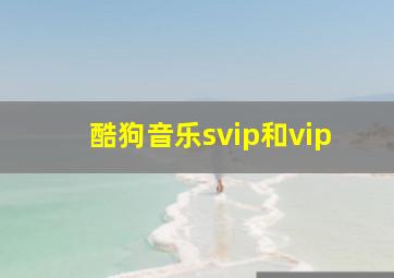 酷狗音乐svip和vip