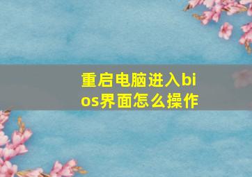 重启电脑进入bios界面怎么操作