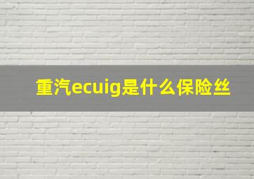 重汽ecuig是什么保险丝