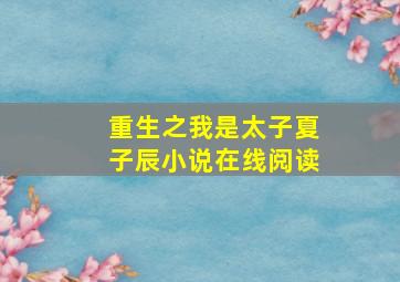 重生之我是太子夏子辰小说在线阅读