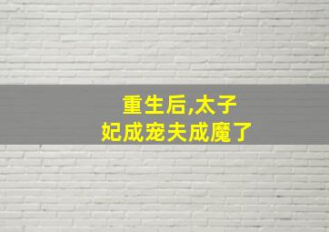 重生后,太子妃成宠夫成魔了