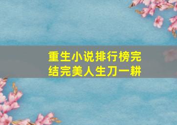 重生小说排行榜完结完美人生刀一耕