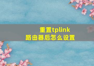 重置tplink路由器后怎么设置