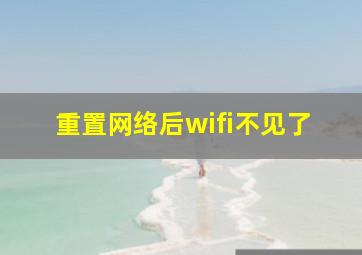 重置网络后wifi不见了