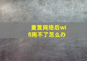 重置网络后wifi用不了怎么办