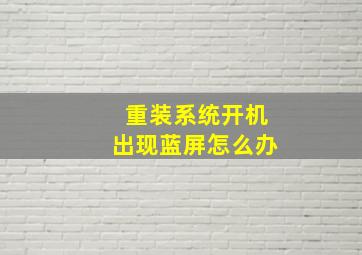 重装系统开机出现蓝屏怎么办