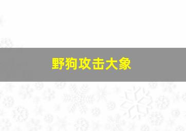 野狗攻击大象