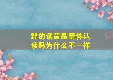 野的读音是整体认读吗为什么不一样