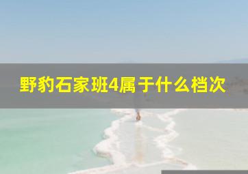 野豹石家班4属于什么档次