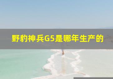 野豹神兵G5是哪年生产的