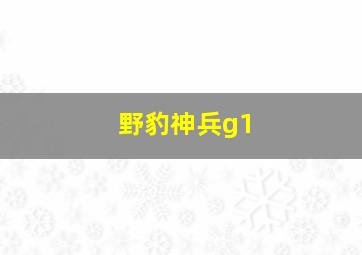 野豹神兵g1