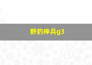 野豹神兵g3