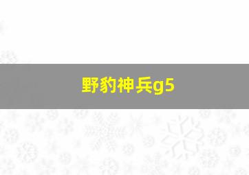 野豹神兵g5