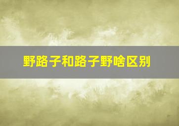 野路子和路子野啥区别