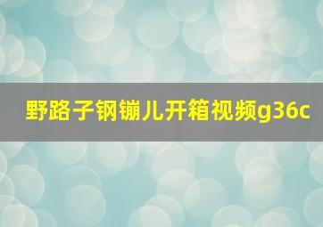 野路子钢镚儿开箱视频g36c