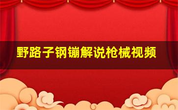 野路子钢镚解说枪械视频