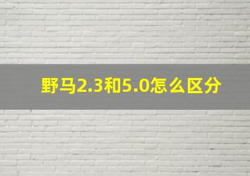 野马2.3和5.0怎么区分