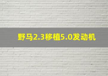 野马2.3移植5.0发动机