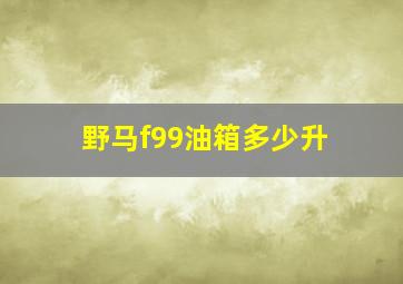 野马f99油箱多少升