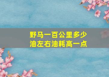 野马一百公里多少油左右油耗高一点