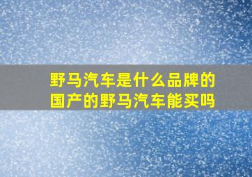 野马汽车是什么品牌的国产的野马汽车能买吗