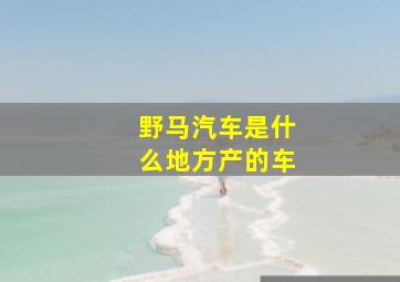 野马汽车是什么地方产的车