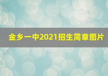 金乡一中2021招生简章图片