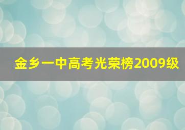 金乡一中高考光荣榜2009级