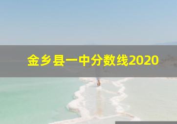 金乡县一中分数线2020